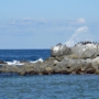 shikanosima049沖津島の岩礁.jpg