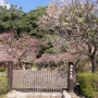 dazaifu0207.jpg