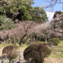 dazaifu0208.jpg