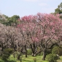 dazaifu0209.jpg