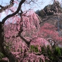 dazaifu0218.jpg