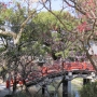 dazaifu0224.jpg