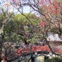 dazaifu0225.jpg