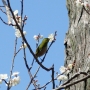 dazaifu0302.jpg